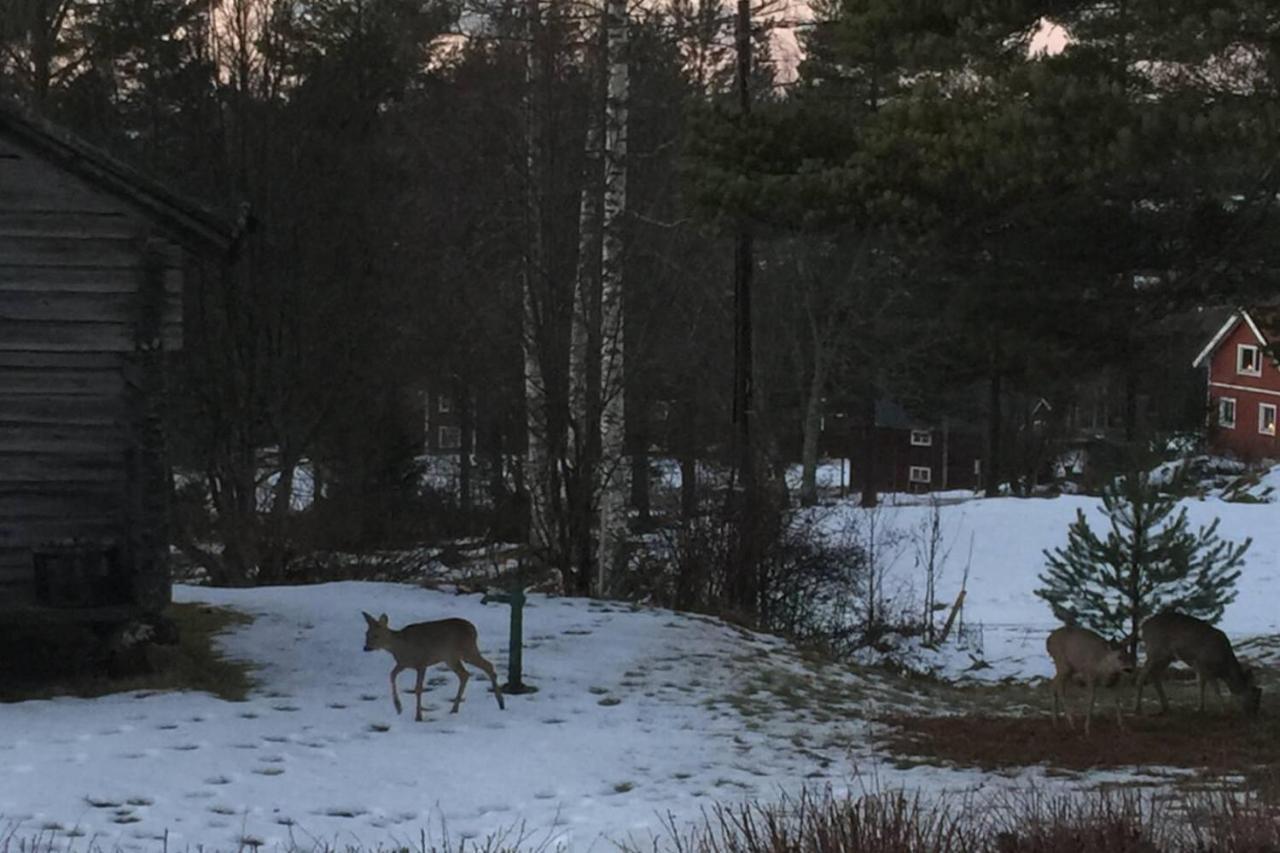 Beautiful 4-5 Persons Cottage In Alvdalen Blyberg Buitenkant foto