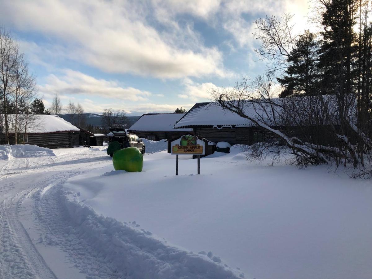 Beautiful 4-5 Persons Cottage In Alvdalen Blyberg Buitenkant foto