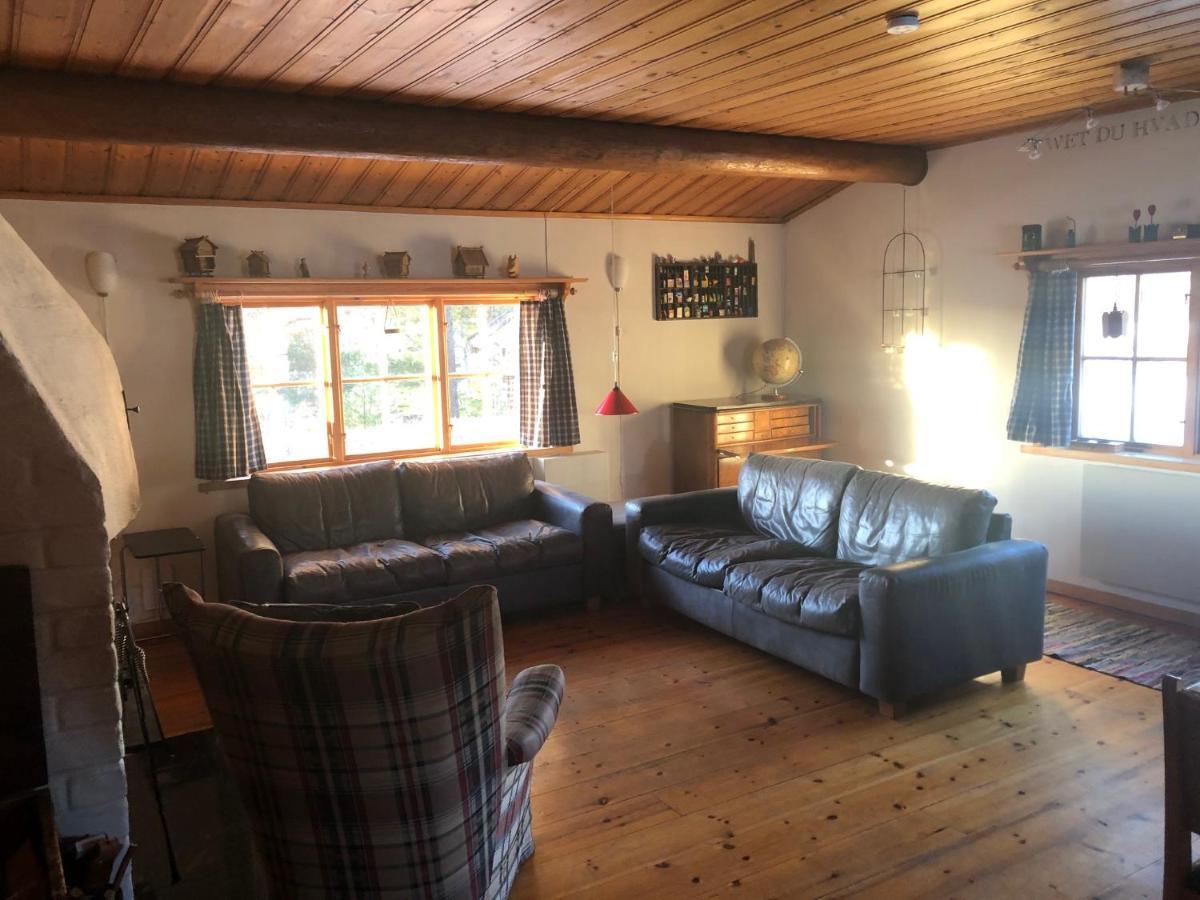 Beautiful 4-5 Persons Cottage In Alvdalen Blyberg Buitenkant foto