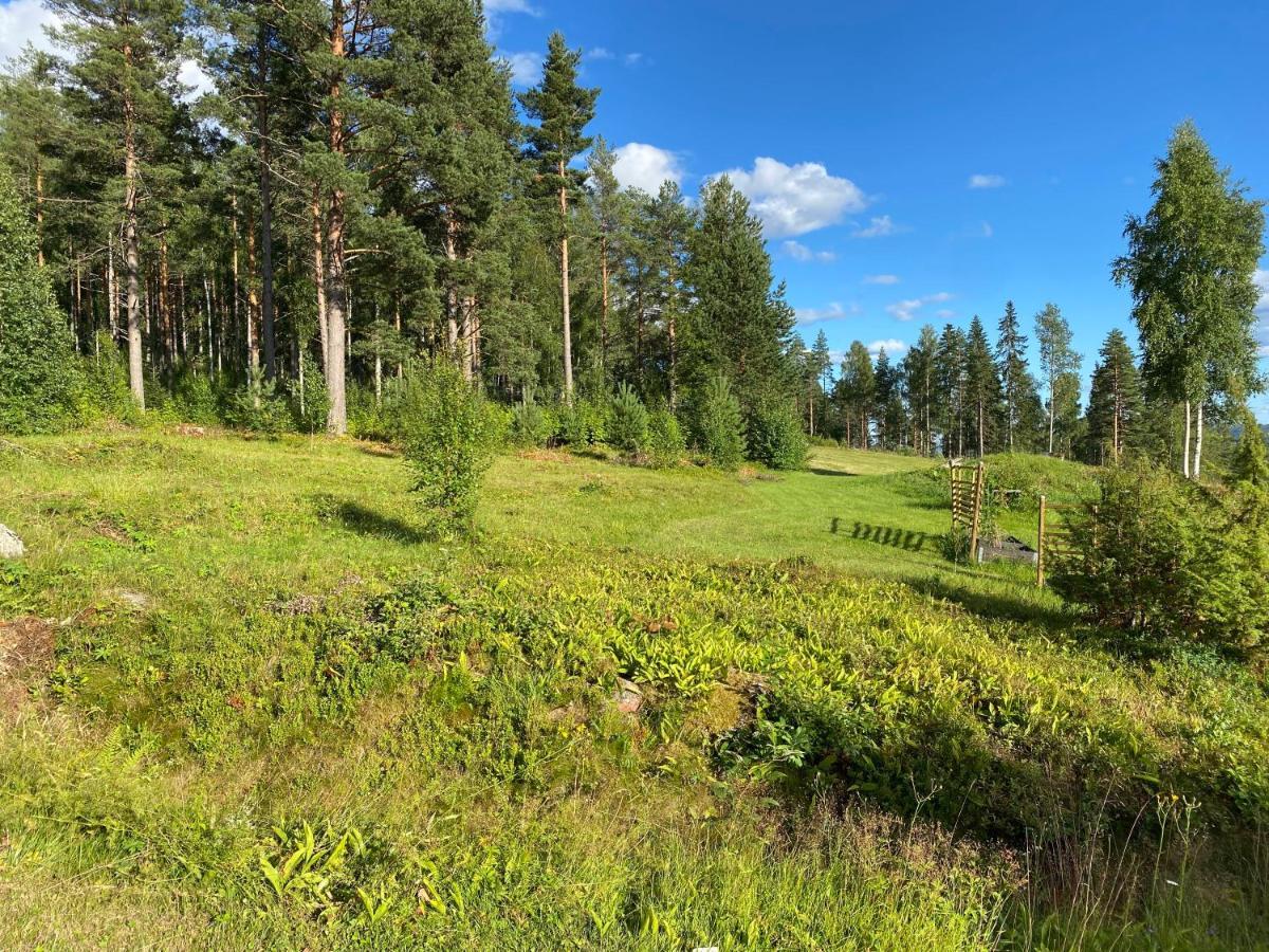 Beautiful 4-5 Persons Cottage In Alvdalen Blyberg Buitenkant foto